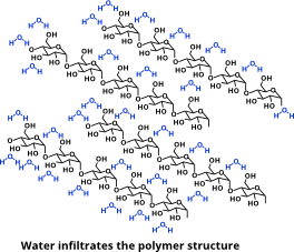 Water molecules invading the polymer structure