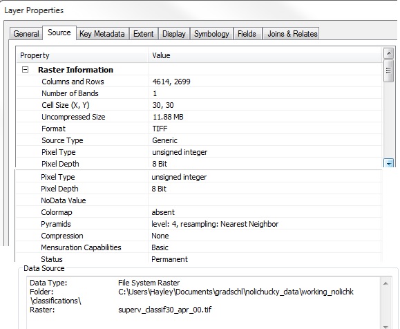 Raster properties for the supervised classification image