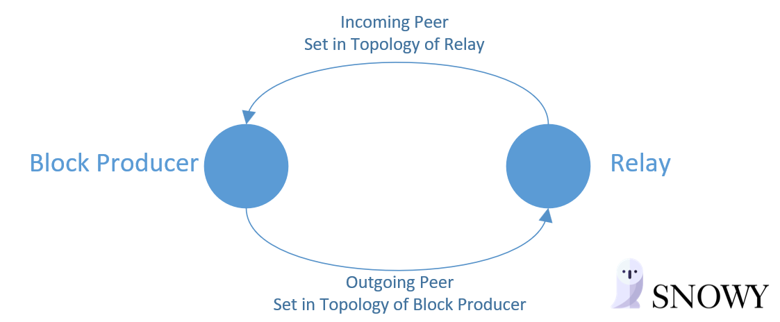 Incoming/Outgoing Peer Topology