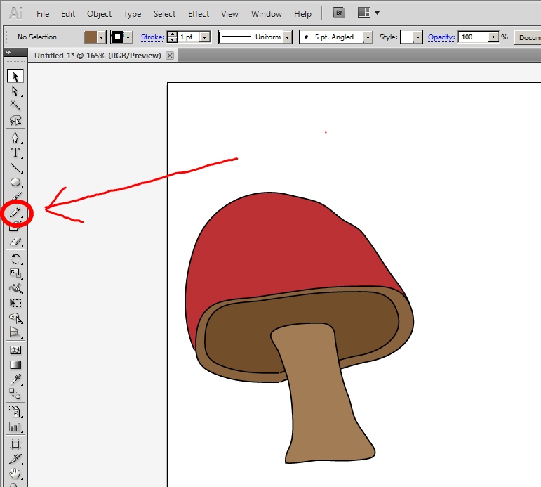 a mushroom