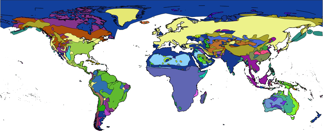 Iniital Polygon Shapefile