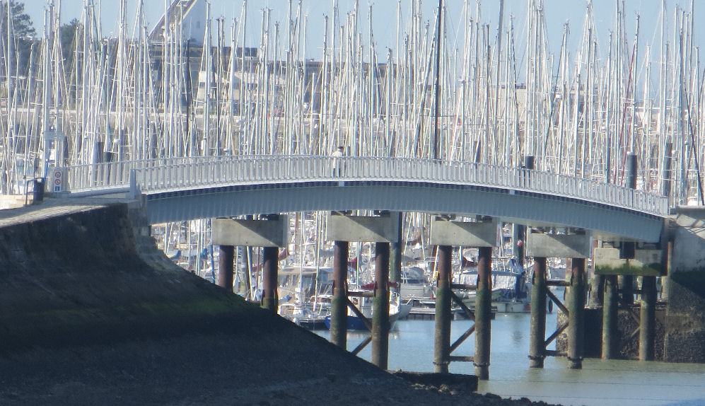 Bridge with a forest of masts behind it.