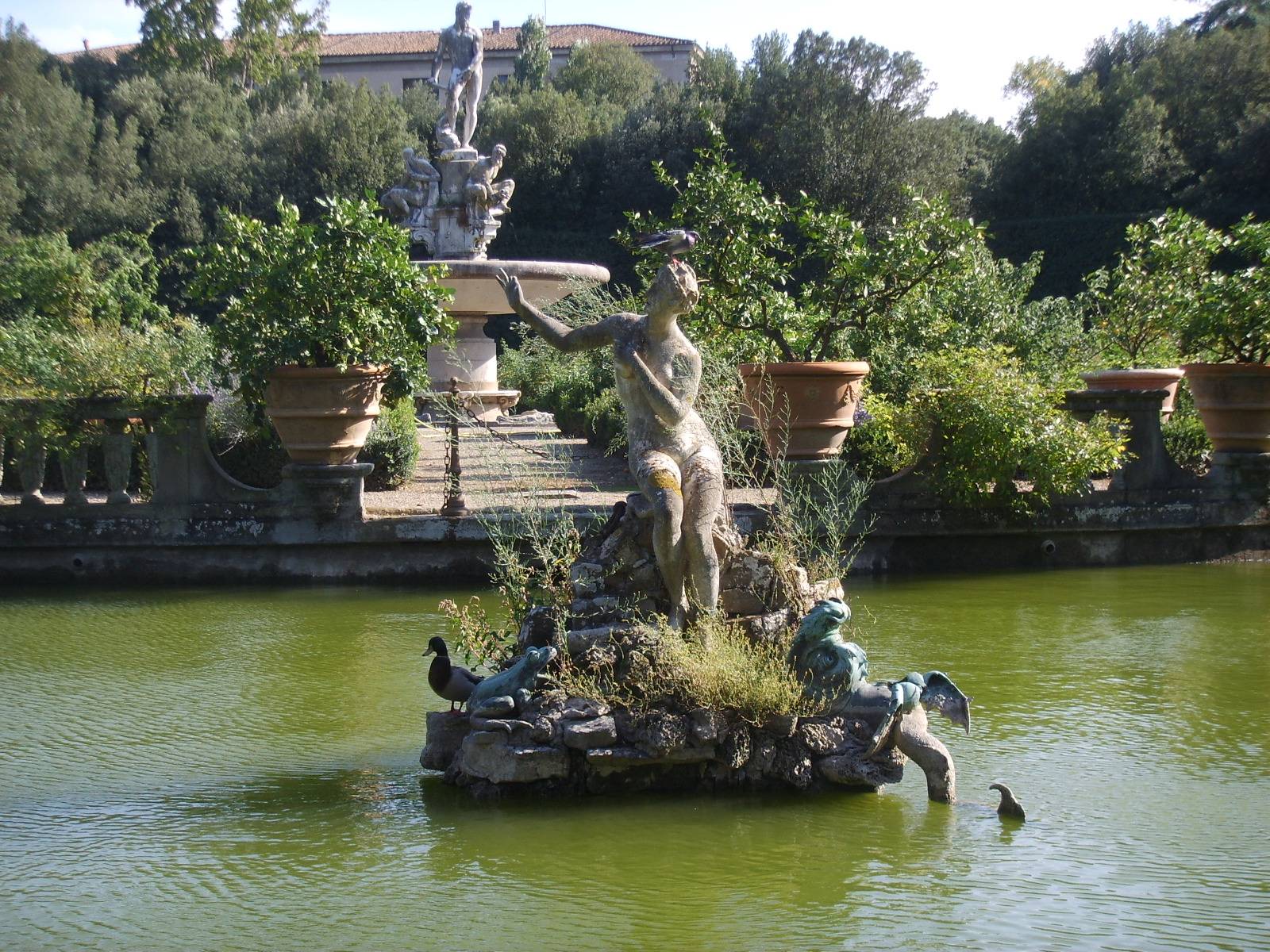 Giardini di villa Boboli