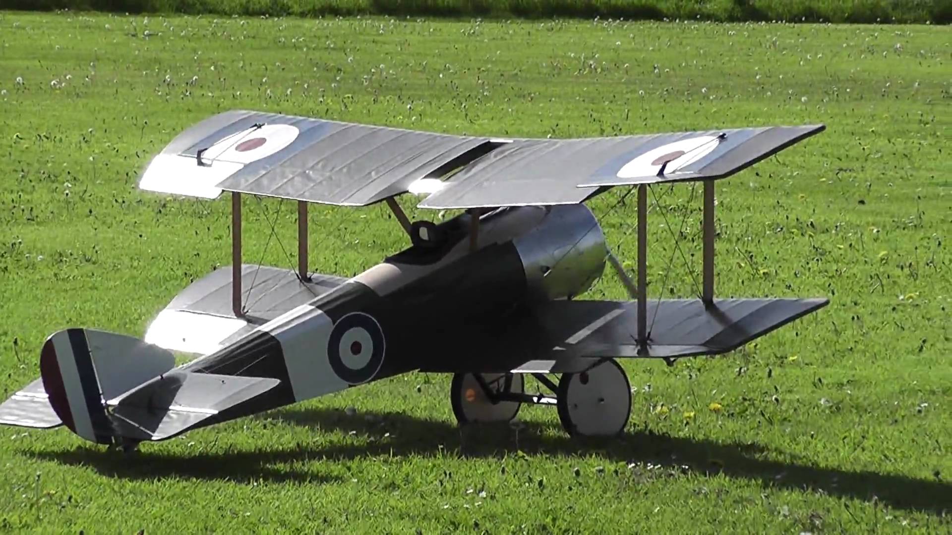 Sopwith Camel c. 1915 with thick camber