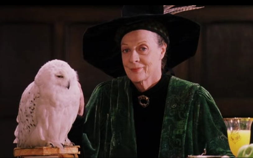 McGonagall smirks alongside Hedwig who is sat on a pile of books