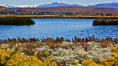 Patagonia View