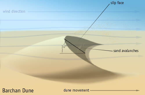 Dune diagram