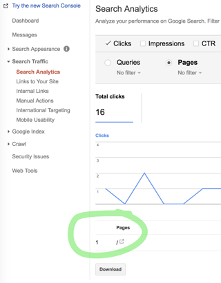 Screenshot of search analytics > pages