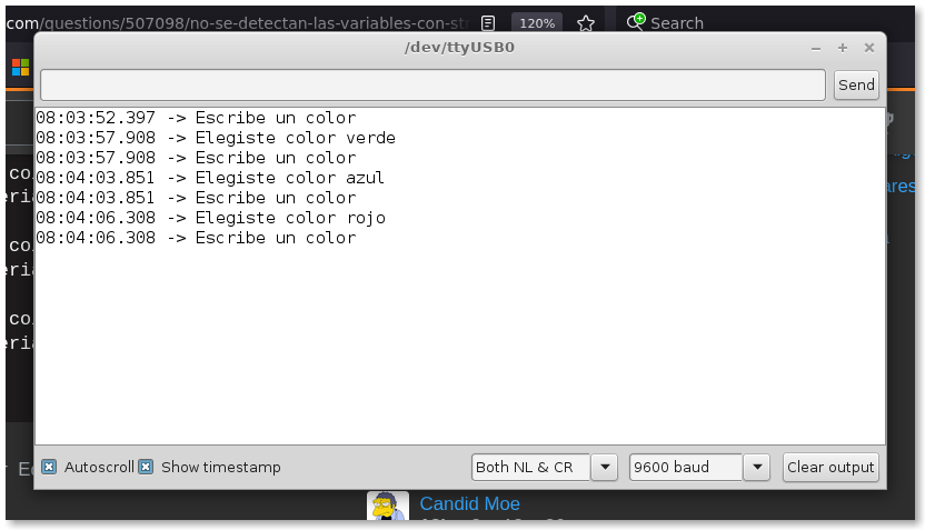 Serial Terminal Arduino