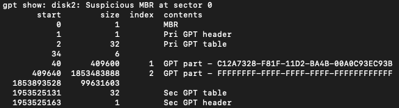 Screenshot of the Terminal output for 'sudo gpt -r show disk2'