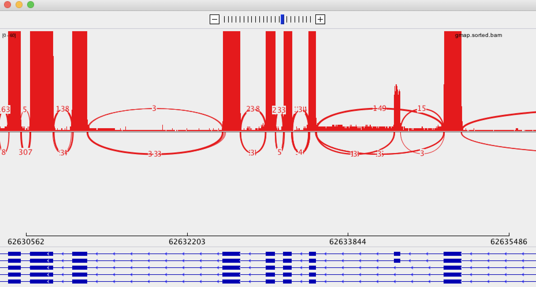 Sashimi plot with min junction coverage 3