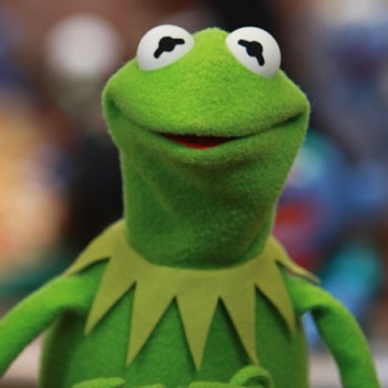 Kermit's user avatar