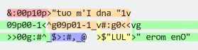 Source code with execution paths highlighted