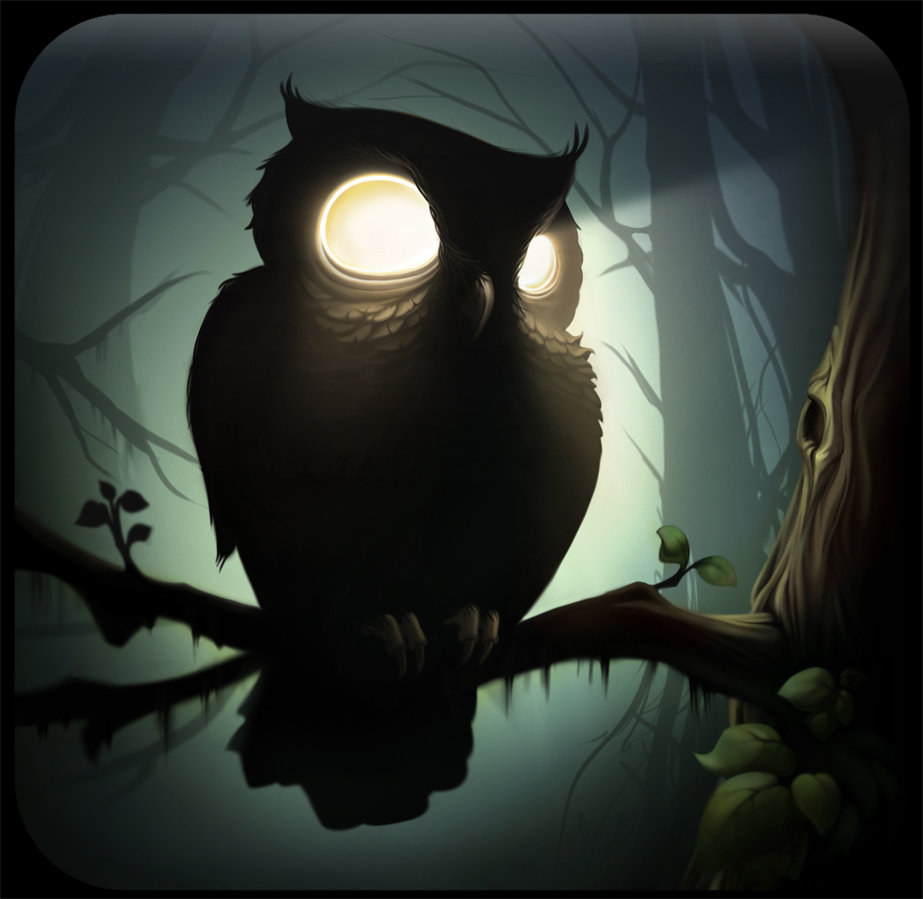 SqlNightOwl's user avatar