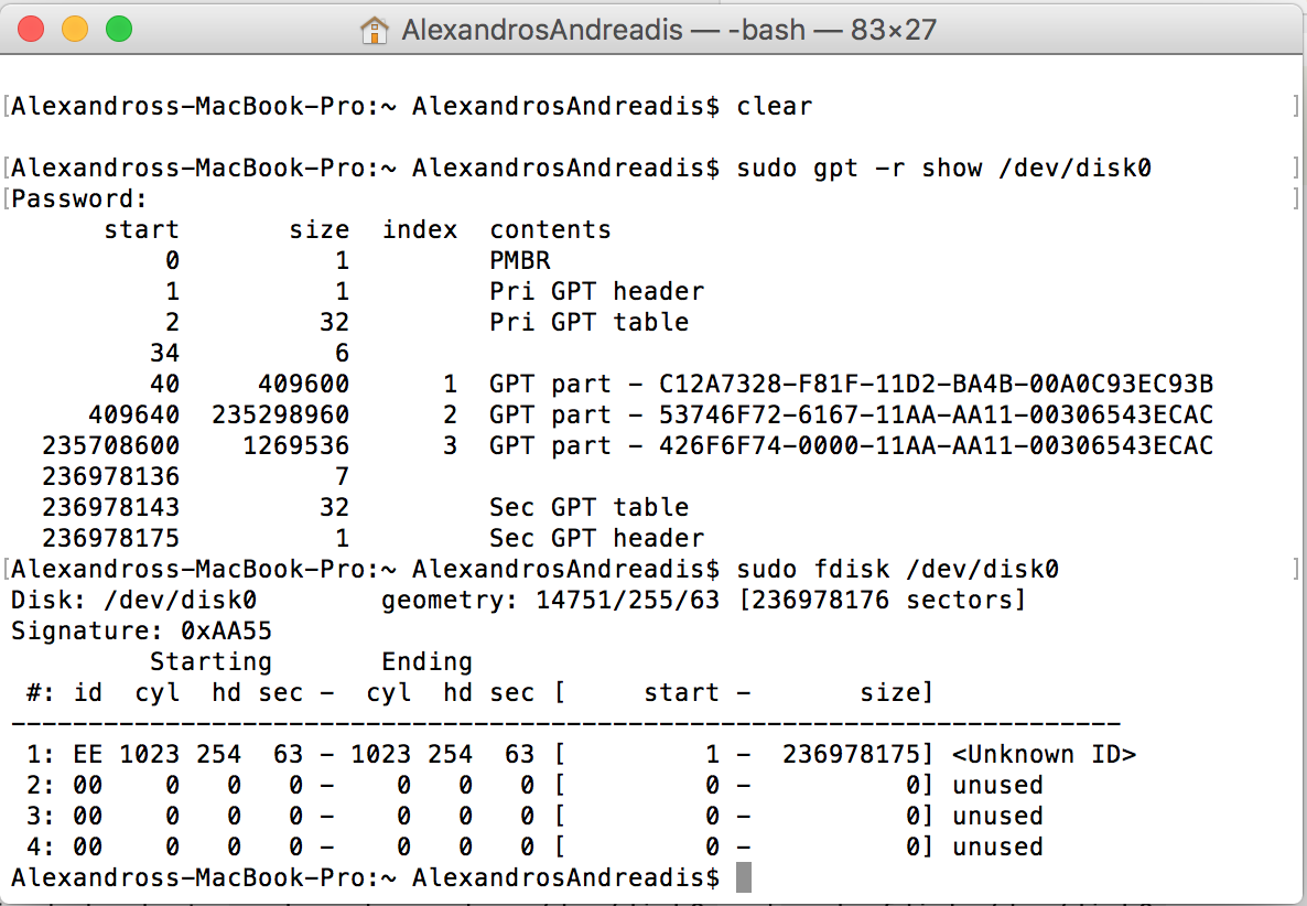 Results of: sudo gpt -r show /dev/disk0 and sudo fdisk /dev/disk0 