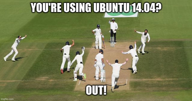 fielding team celebrate getting batsman out in cricket match - "You're using Ubuntu 14.04? Out!"