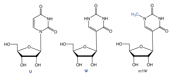 U, Ψ and m1Ψ structures