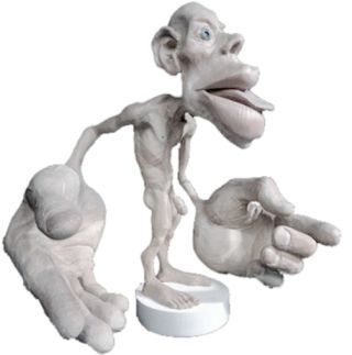 Cortical homunculus