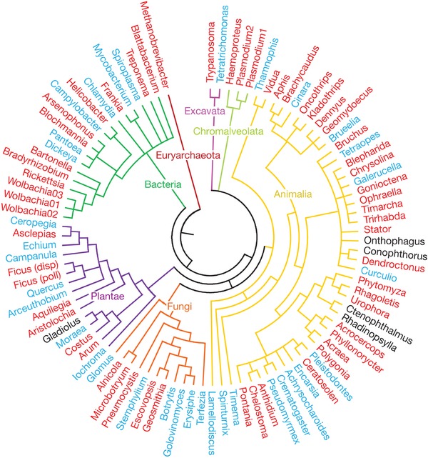 Biocurious's user avatar