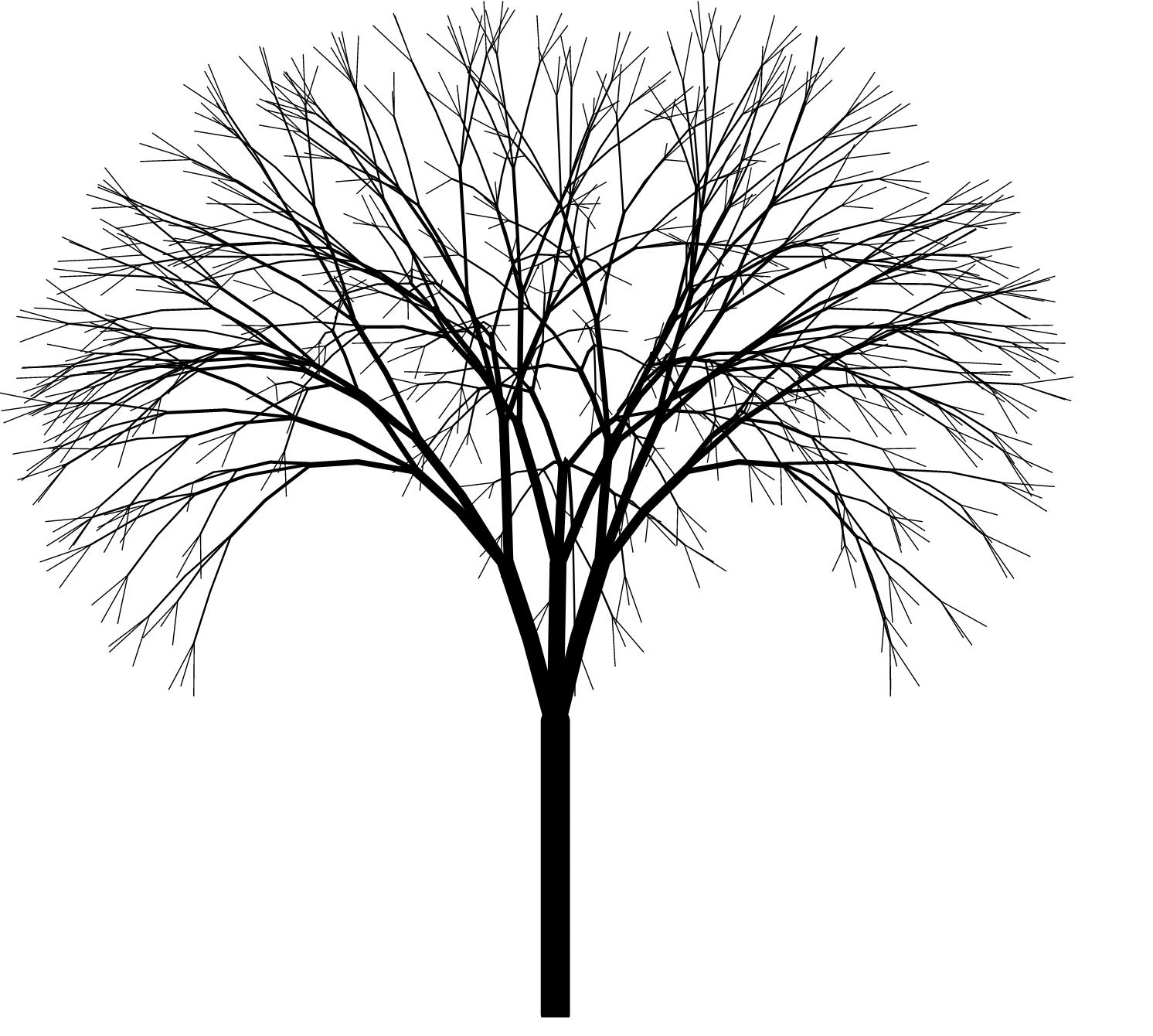 A line drawing of a tree. Each branch looking like a smaller version of the tree.