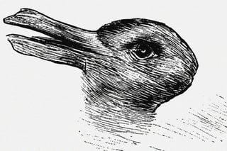 sketch that can be interpreted as a duck head looking left or a rabbit head looking right