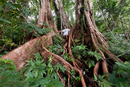 Solomon Islands