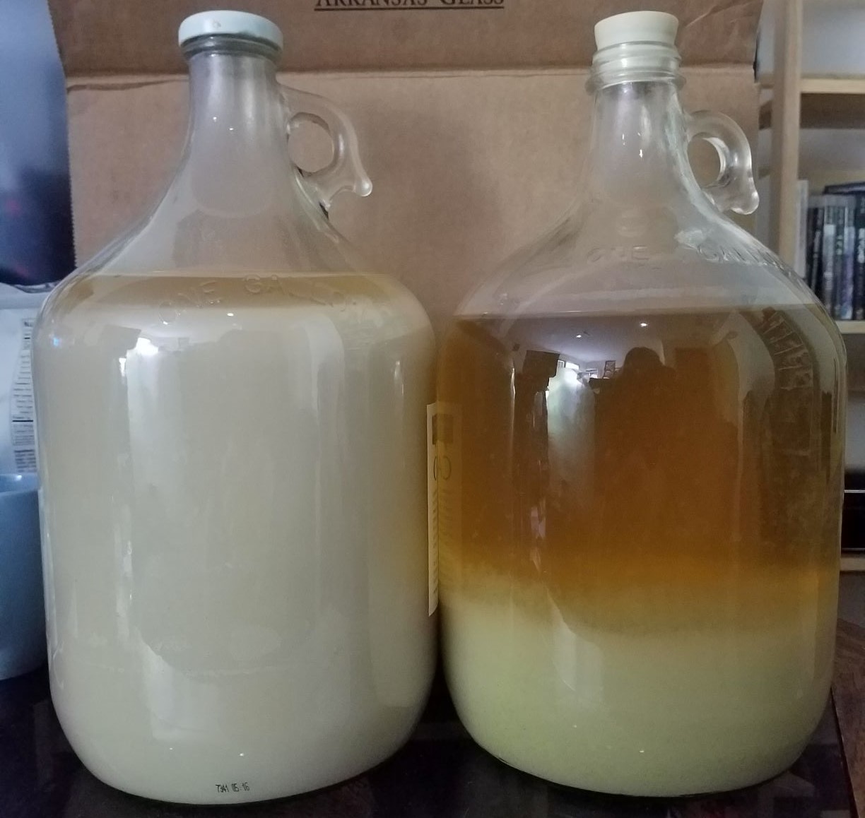 Left: Batch2, which is almost entirely a milky white. Right: Batch1, which looks ok other than the trub taking up a quarter of the jug.