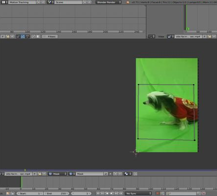 masking in the Motion Tracking window