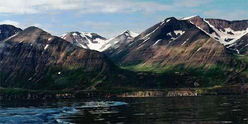 icelandic alpine meadow