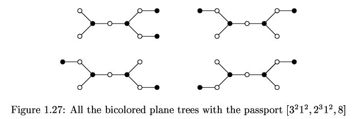 Why isn't the mirror image of the first tree also drawn?