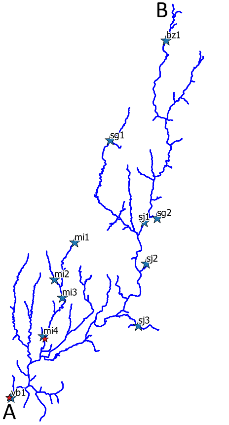 Drainage network and catchment outlets