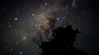 Sagittarius Arm Above The Trees - Prasan Karunarathna