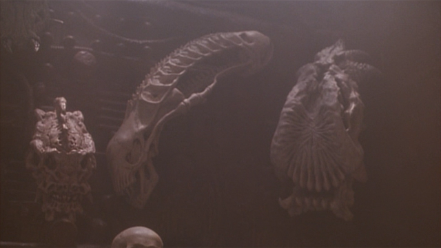 Close-up of the upper-right portion of the display, showing the skulls on either side of the xenomorph's.  The one on the right appears to have eyes set nearly on the side of a very broad face bone with a fan of bones reaching the upper jaw between two enormous ridges that may end in tusks.  There appears to be a fan of bones at the crest of the head.  The one on the left looks more like a predator, but it may have four eye sockets.