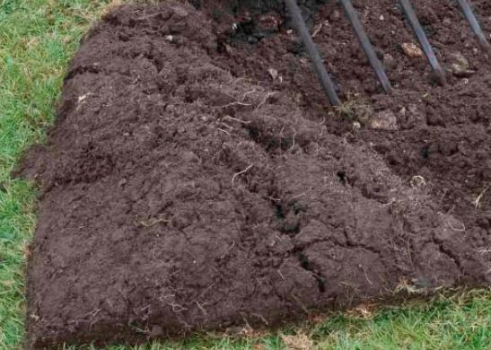 Freshly turned turf showing dark brown soil with a few wiry tendrils of pale grass roots.