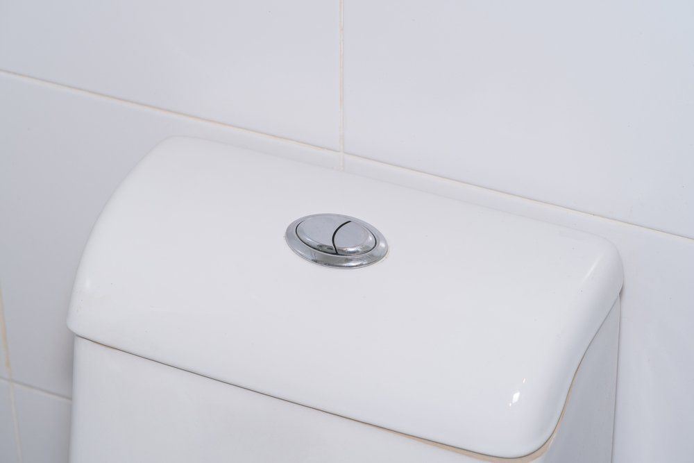 Toilet lid with two buttons: half and full flush