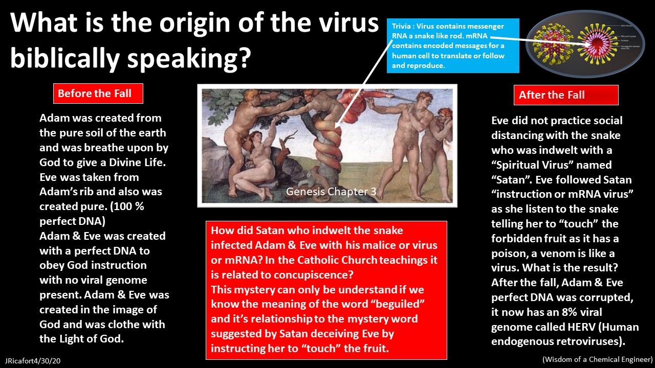 Will the instruction to worship the beast has connection to mRNA/DNA vaccines? This is a good question to explore.