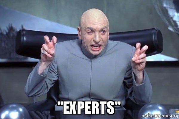 “experts”