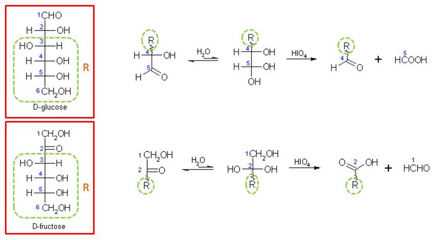 Stepwise periodate oxidation of glucose & Fructose