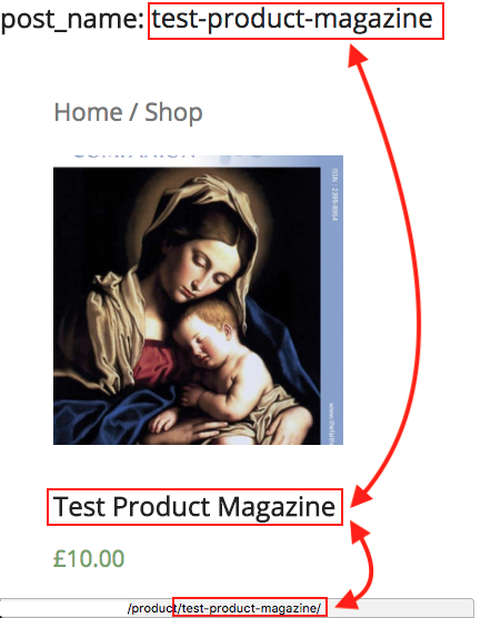 <code>test-product-magazine</code>, instead of the correct, <code>shop</code>