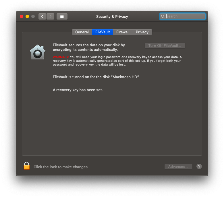 Security & Privacy FileVault Window in System Preferences - Locked