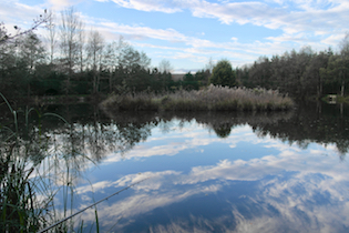 Water and Sky