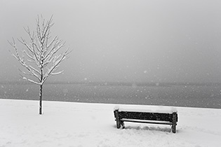 Lake Calhoun in the Snow  - dpollitt