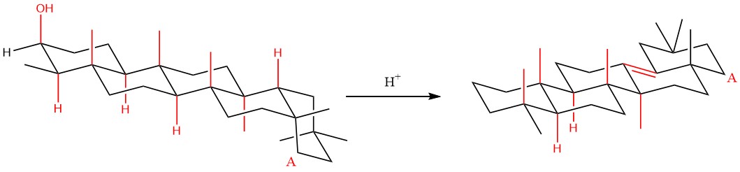 chair conformation of reactant and product