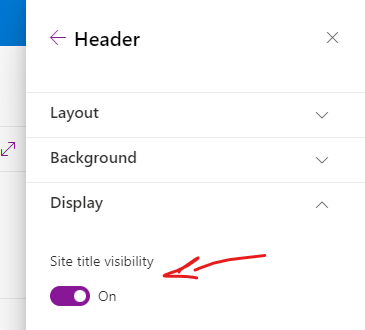 toggle in site setting options to hide site title