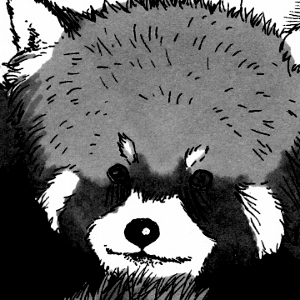 RedPanda's user avatar