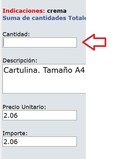 campo cantidad debe estar el cursor