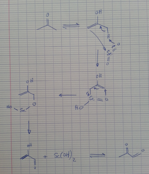 Oxydation of a ketone with SeO2