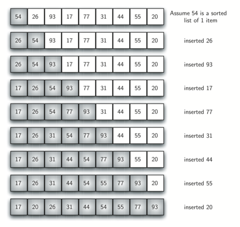 insertion sort