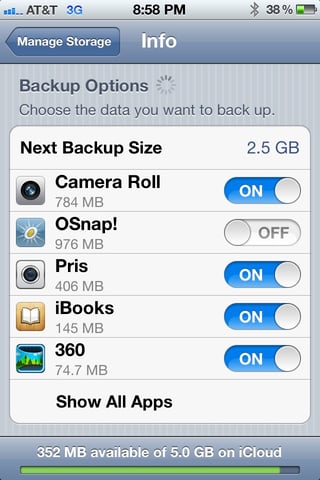 iCloud storage settings - Backup Options screen