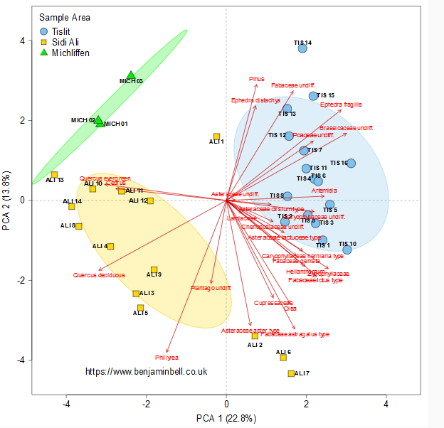 Esto es lo que se desea. Tomado de https://www.benjaminbell.co.uk/2018/02/principal-components-analysis-pca-in-r.html